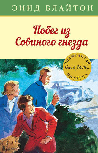 Энид Блайтон. Побег из Совиного гнезда