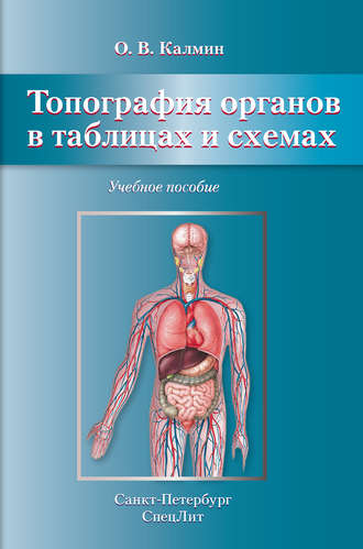 Топография органов в таблицах и схемах. Учебное пособие. 