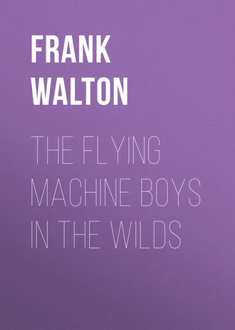 Frank Walton. The Flying Machine Boys in the Wilds