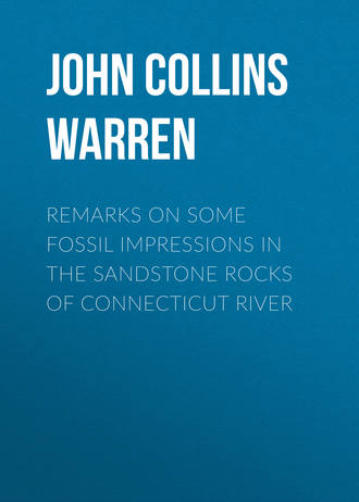 Remarks on some fossil impressions in the sandstone rocks of Connecticut River. John Collins Warren