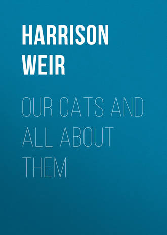 Our Cats and All About Them. Harrison Weir