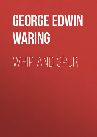George Edwin Waring. Whip and Spur