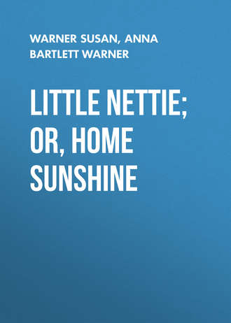 Warner Susan. Little Nettie; or, Home Sunshine