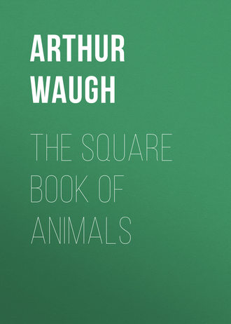 Arthur Waugh. The Square Book of Animals
