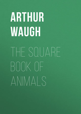 The Square Book of Animals. Arthur Waugh