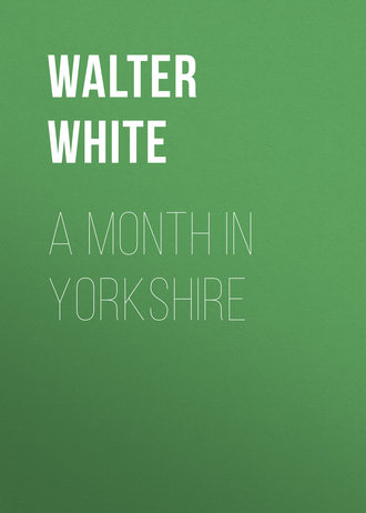 Walter White. A Month in Yorkshire