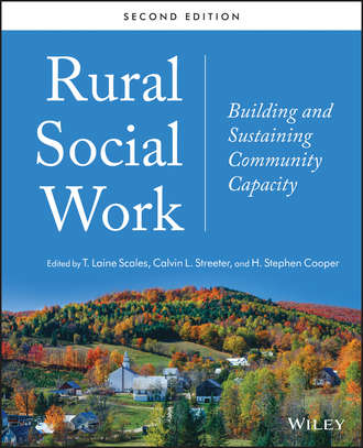 Группа авторов. Rural Social Work