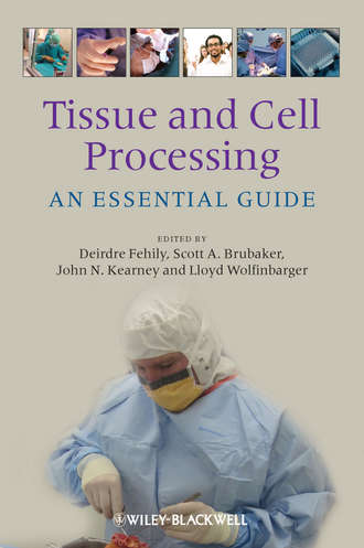 Группа авторов. Tissue and Cell Processing