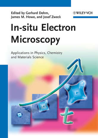 Группа авторов. In-situ Electron Microscopy