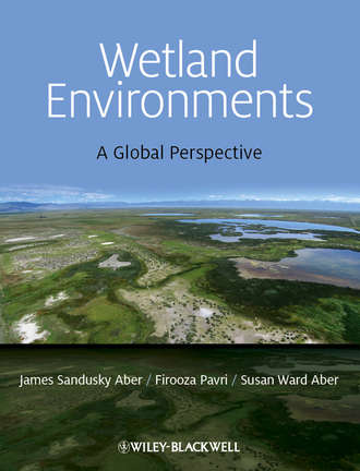 James S. Aber. Wetland Environments