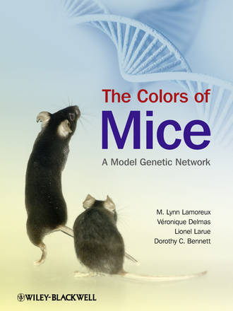 V?ronique Delmas. The Colors of Mice