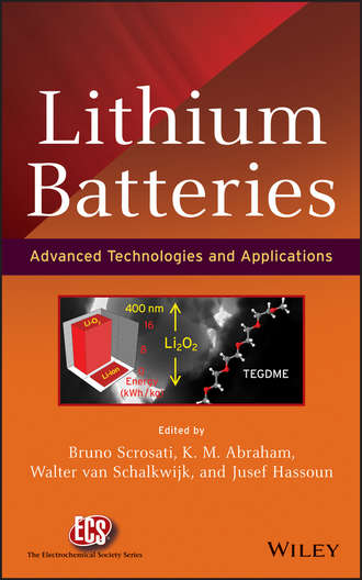 Группа авторов. Lithium Batteries