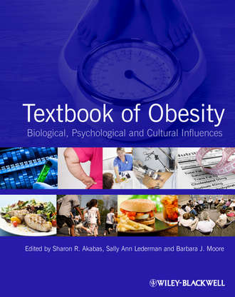 Группа авторов. Textbook of Obesity