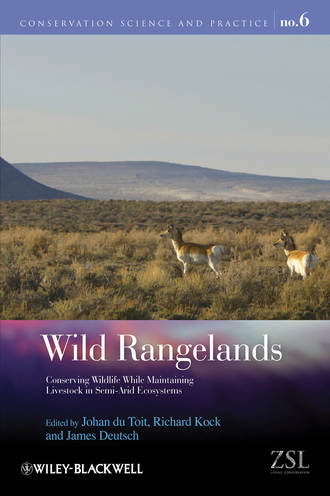 Группа авторов. Wild Rangelands