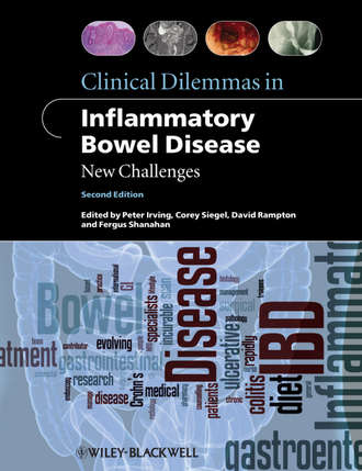Группа авторов. Clinical Dilemmas in Inflammatory Bowel Disease