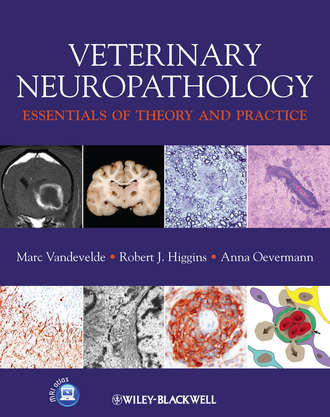 Marc Vandevelde. Veterinary Neuropathology