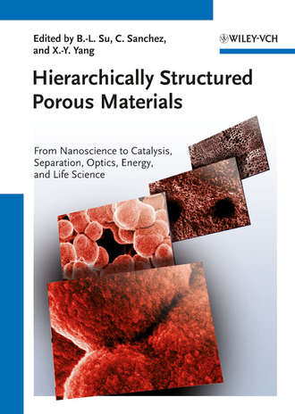 Группа авторов. Hierarchically Structured Porous Materials