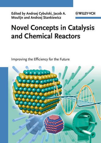 Группа авторов. Novel Concepts in Catalysis and Chemical Reactors