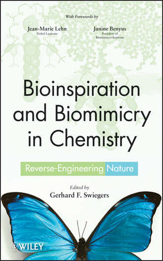 Группа авторов. Bioinspiration and Biomimicry in Chemistry