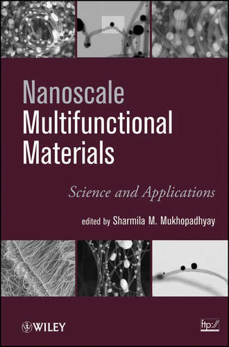 S. N. Mukhopadhyay. Nanoscale Multifunctional Materials. Science & Applications