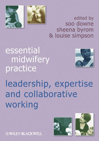 Группа авторов. Expertise Leadership and Collaborative Working