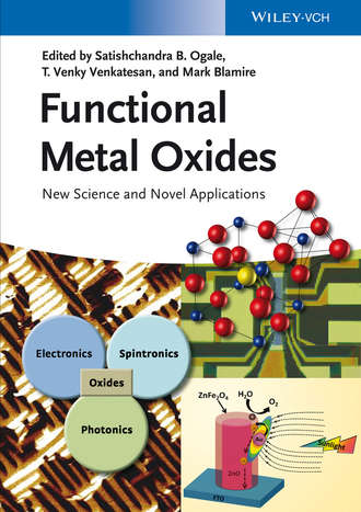 Группа авторов. Functional Metal Oxides