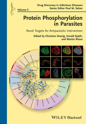 Группа авторов. Protein Phosphorylation in Parasites