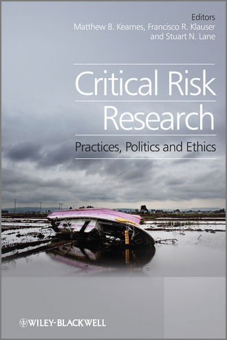 Группа авторов. Critical Risk Research