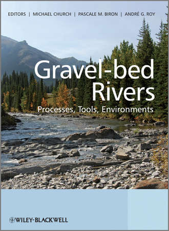 Группа авторов. Gravel Bed Rivers