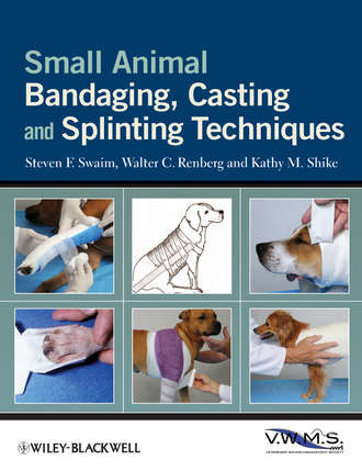 Small Animal Bandaging, Casting, and Splinting Techniques. Steven F. Swaim