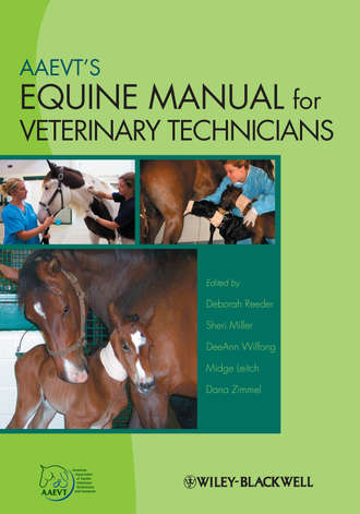 Группа авторов. AAEVT's Equine Manual for Veterinary Technicians