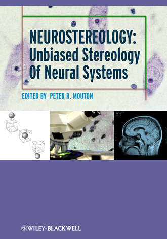 P. Mouton R.. Neurostereology. Unbiased Stereology of Neural Systems