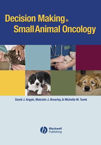 Группа авторов. Decision Making in Small Animal Oncology