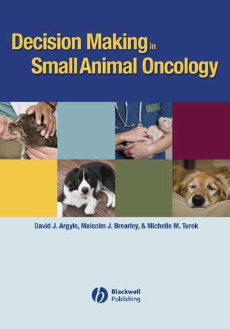 Decision Making in Small Animal Oncology. Группа авторов