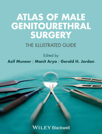 Группа авторов. Atlas of Male Genitourethral Surgery