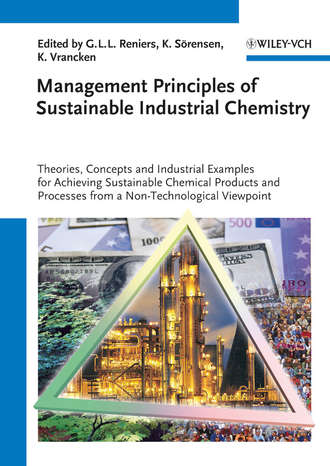 Группа авторов. Management Principles of Sustainable Industrial Chemistry