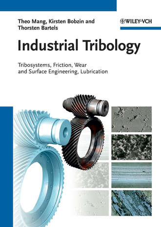 Kirsten Bobzin. Industrial Tribology