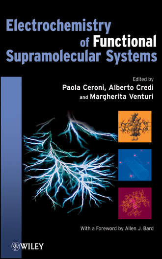Группа авторов. Electrochemistry of Functional Supramolecular Systems