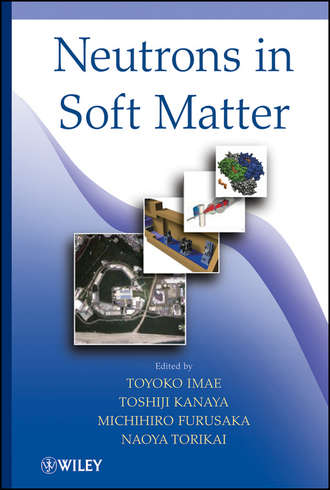 Группа авторов. Neutrons in Soft Matter