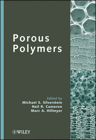 Группа авторов. Porous Polymers