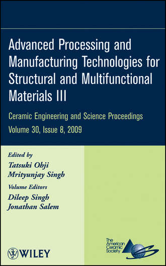 Группа авторов. Advanced Processing and Manufacturing Technologies for Structural and Multifunctional Materials III, Volume 30, Issue 8