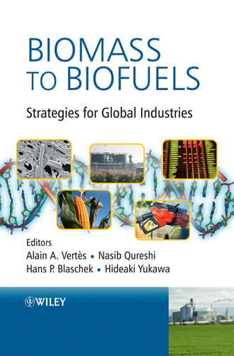 Группа авторов. Biomass to Biofuels