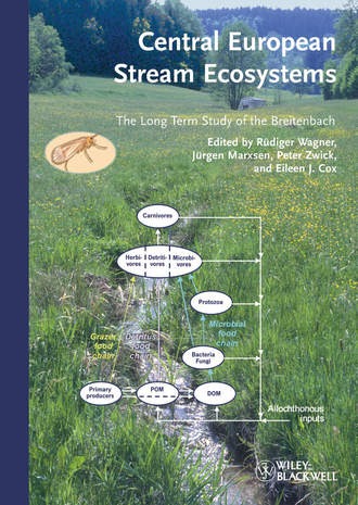 Группа авторов. Central European Stream Ecosystems