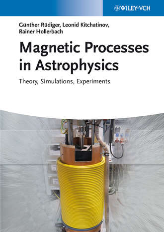 G?nther R?diger. Magnetic Processes in Astrophysics