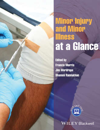 Minor Injury and Minor Illness at a Glance. Группа авторов