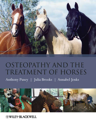 Julia  Brooks. Osteopathy and the Treatment of Horses