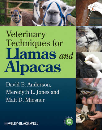 David E. Anderson. Veterinary Techniques for Llamas and Alpacas