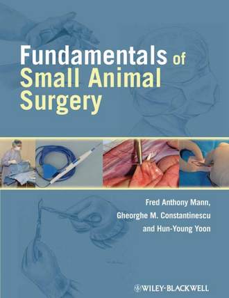 Группа авторов. Fundamentals of Small Animal Surgery