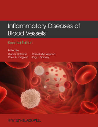 Inflammatory Diseases of Blood Vessels. Группа авторов