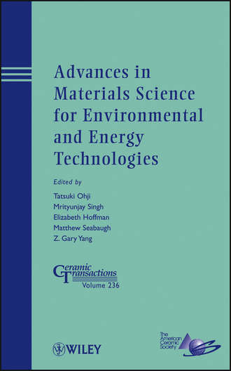 Группа авторов. Advances in Materials Science for Environmental and Energy Technologies